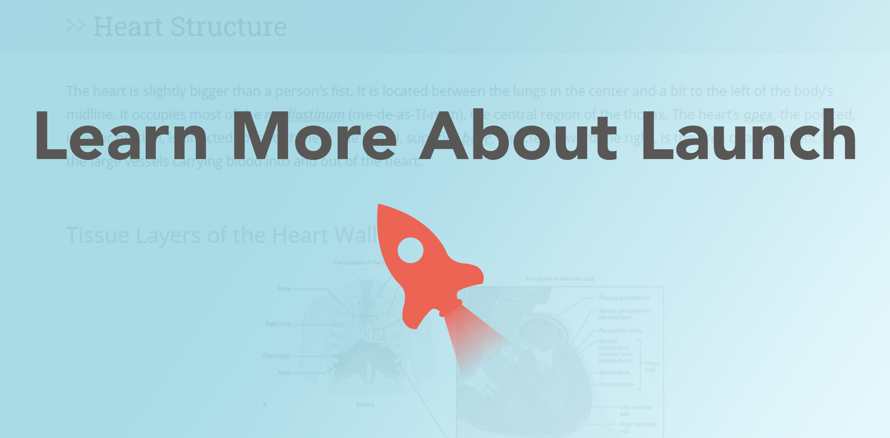 Learn More About Launch