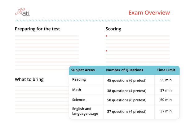 Study Plan For Beginners: Bringing It All Together! 