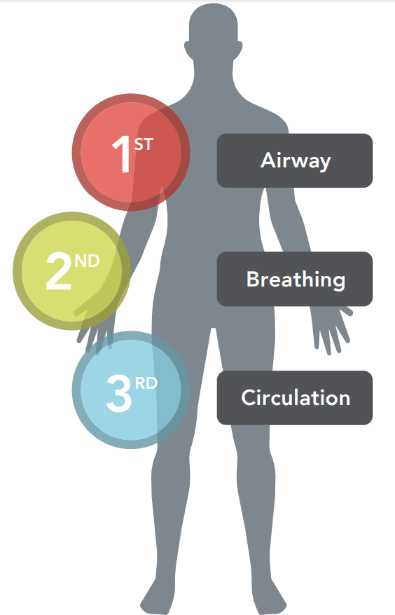 THE BEST NURSING CONCEPTS FOR CLINICAL JUDGMENT & THE NEW NCLEX