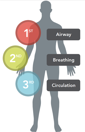 Airway-Breathing-Circulation